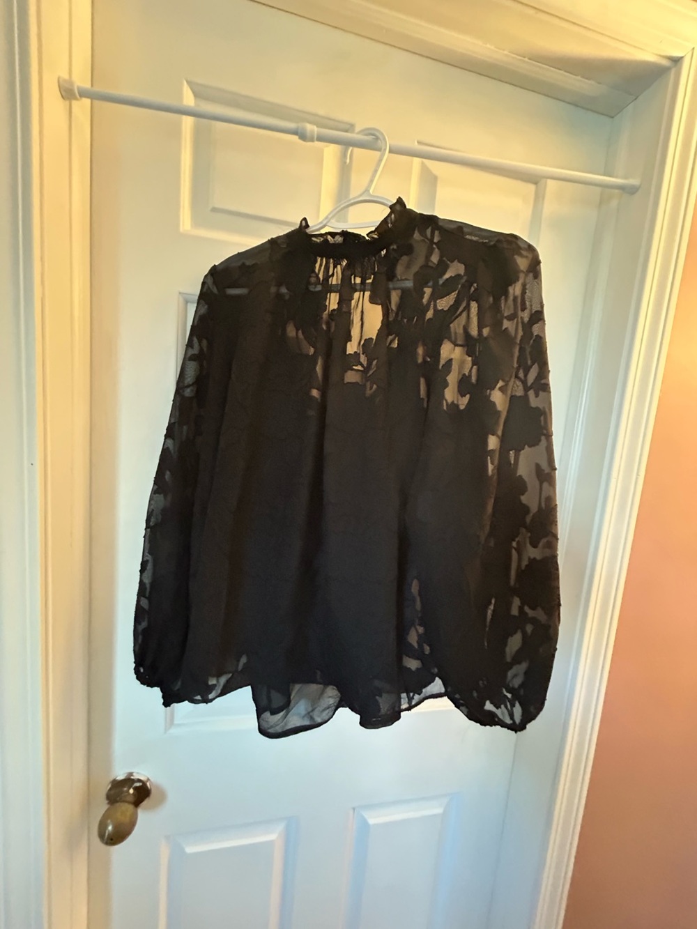 Black Sheer Long-Sleeve Floral Burnout Blouse